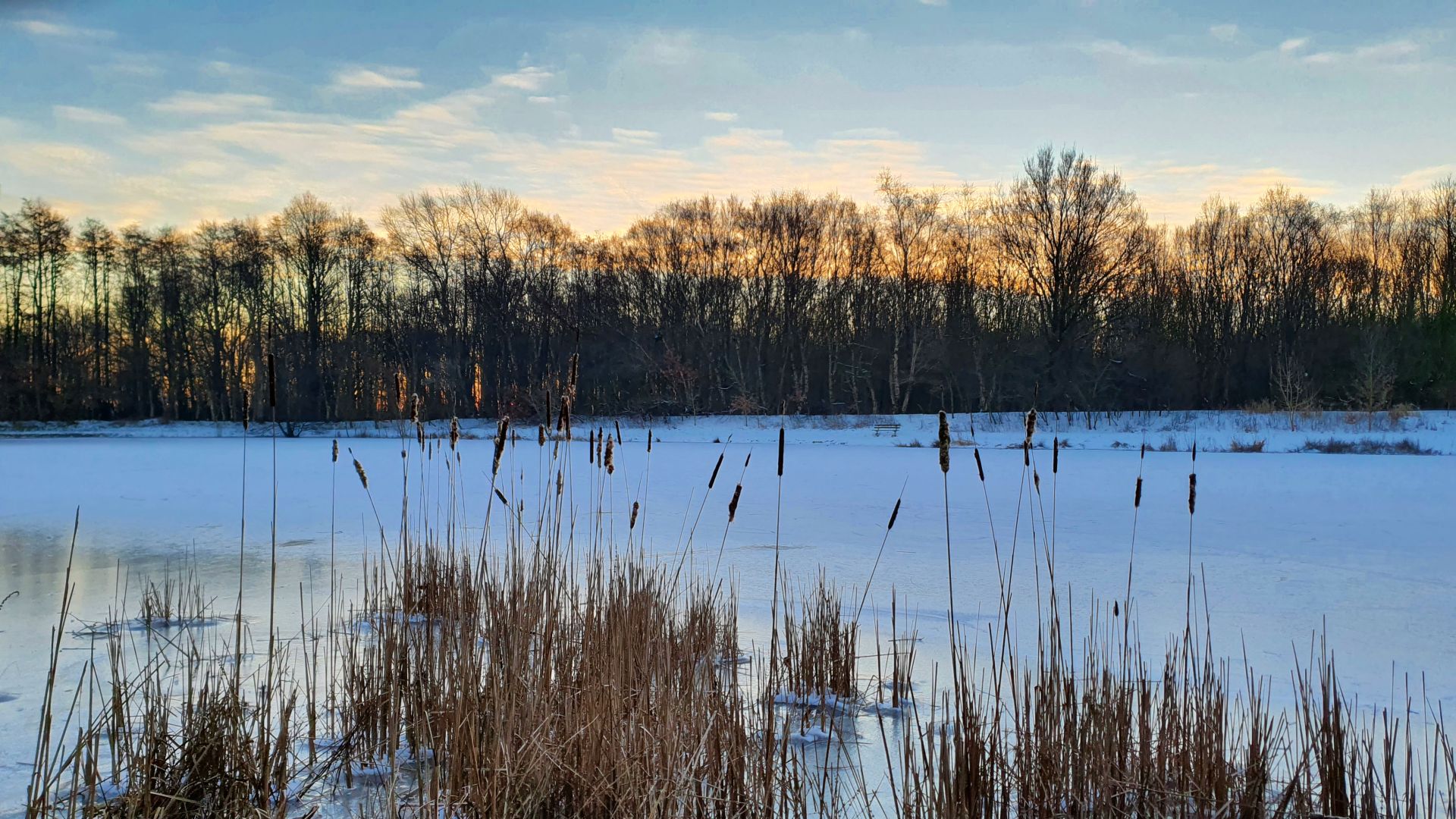 Foto: Blick aufs Wasser. Im Hintergrund geht die Sonne hinter Bäumen unter.